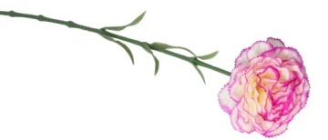 ИСКУССТВЕННЫЕ ЦВЕТЫ РАСТЕНИЯ ОДИНАРНАЯ ГВОЗДИКА