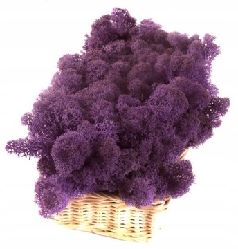 Mech CHROBOTEK RENIFEROWY 200g Purple/Violet