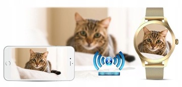 Женские SMARTWATCH G.Rossi SW014G-4 Золото