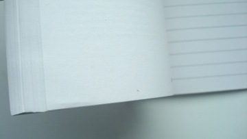 FORD Galaxy 19-23 Дополнительное руководство пользователя Ford S-MAX 11/2020 PL