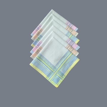 6 шт., хлопковые мужские носовые платки, карманные платки, подарки, банданы 29 см