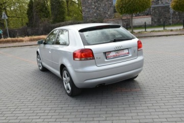Audi A3 8P Hatchback 3d 1.9 TDI 105KM 2008 Audi A3 3-drzwiowe 1.9TDi 105KM 2008r. Klima, zdjęcie 17