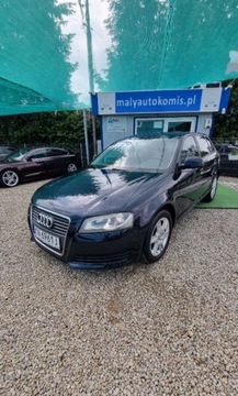 Audi A3 8P Hatchback 3d 1.4 TFSI 125KM 2009