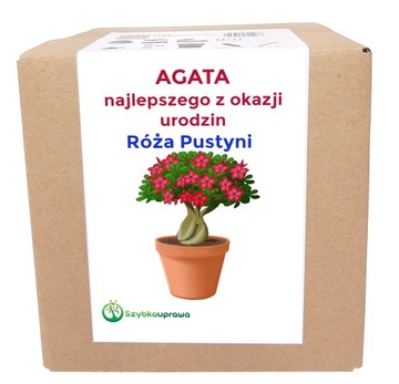 Ekologiczny prezent zestaw róża pus urodziny AGATA