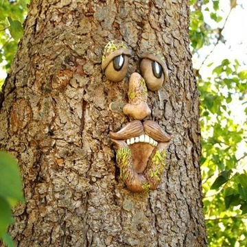 Old Man Tree Hugger Tree Face Outdoor Funny Old