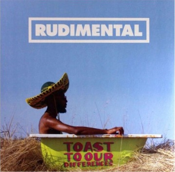 2x Winyl: RUDIMENTAL - Toast To Our Differences