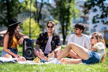 ДИНАМИК BLUETOOTH с FM-РАДИО TWS USB GoGEN BPS636