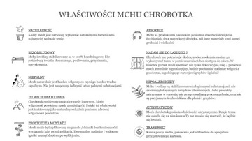 Mech Chrobotek ZIELONY Reniferowy