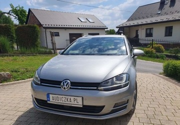 Volkswagen Golf VII Variant 1.4 TSI BlueMotion Technology 150KM 2016 Volkswagen Golf Volkswagen Golf 1.4 TSI BlueMotion Technology DSG Highline, zdjęcie 4