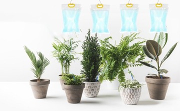 ИРРИГЕР ДЛЯ САДОВЫХ ЦВЕТОЧНЫХ ГОРШКОВ С КАПЛАННИКОМ 3,5 Л