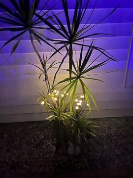 Солнечные садовые фонари Светлячки 10LED 2 шт.