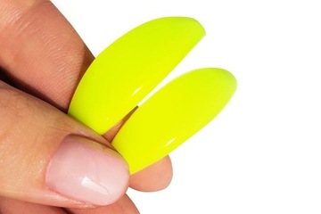 Силиконовые ролики для лифтингового ламинирования ресниц, 4 пары Neon PLATINUM