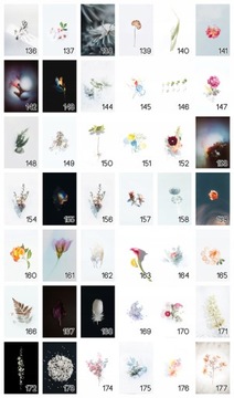 Постер B2 50x70 см Цветок Природа Весна Зеленый УЗОР