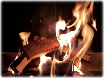 FIRELOOD для козьего дуба платана MIX топливо 20 кг