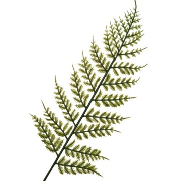 ИСКУССТВЕННЫЙ ПАПОРОТНИК ЛИСТ ВЕТКА ДЛЯ ПЛАТЬЯ