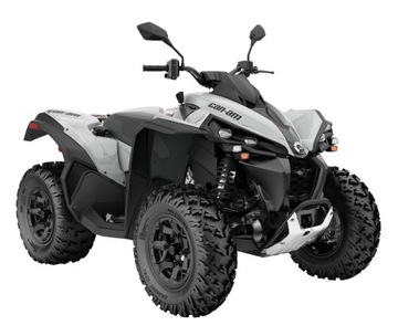 Can Am Renegade STD 650 T3b Model 2024