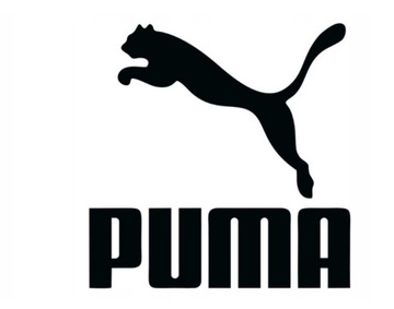 Skarpetki męskie Puma Sneaker 3-pack biały r. 35-38 3 szt.