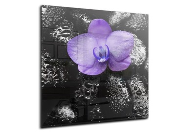 dekor szkło panel hartowany HD 50x50 storczyk