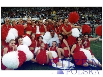 Помпоны для черлидеров Помпон Cheerleader M