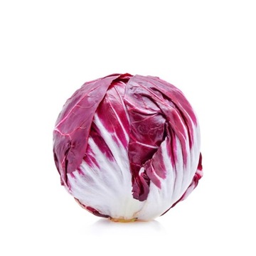 Radicchio radiczo