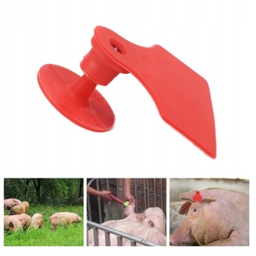 100 комплектов пластиковых идентификационных меток для домашних животных