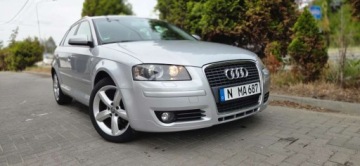 Audi A3 8P Hatchback 3d 1.8 TFSI 160KM 2008 Audi A3 Sportback 1.8 TFSI 160KM Automat Alu Klima Import Raty Oplaty ASO, zdjęcie 19
