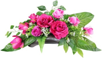 Рид / солнечный