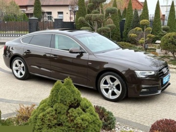 Audi A5 8T 2013 Audi A5 Sportback 2.0 TDI DPF 136KM 2013r Stan perfekcyjny! Mozliwa zamiana, zdjęcie 33