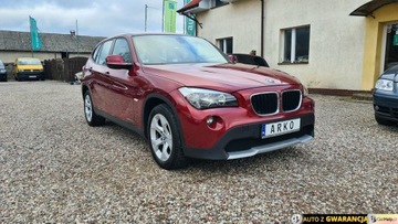 BMW X1 E84 2010