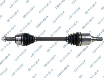 203567 GSP POLOOSA