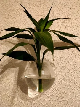 Стеклянная ваза для цветов на стену AQUARIUM BALL