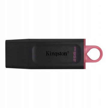 Флеш-накопитель KINGSTON DTX USB 3.0 ПАМЯТЬ 256 ГБ