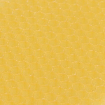 10 ЧАСТЕЙ ЗМЕИ ИЗ УЛЬЯ