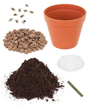 Подарок на День матери, дерево счастья, бонсай, подарок на День матери, роза