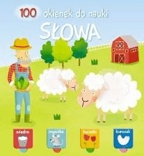 Słowa 100 okienek do nauki