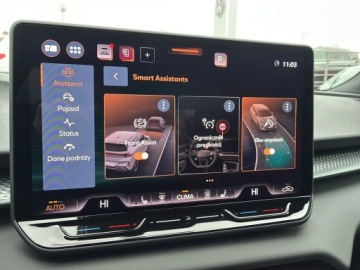 Cupra Terramar SUV 2.0 TSI 204KM 2026 Cupra Terramar Advantage Edition 2.0 TSI 204 KM DS, zdjęcie 18