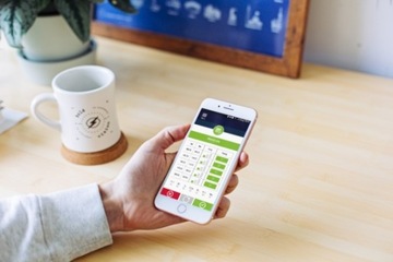 Интернет-модуль Wi-Fi Wanas Mobile Control W-19