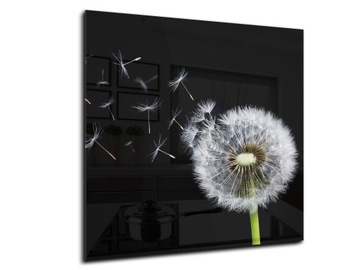 panel szklany między meble dekor 60x60 dmuchawiec
