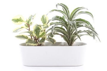 индикатор воды для цветочного горшка белый FLORI 28 гидропоника