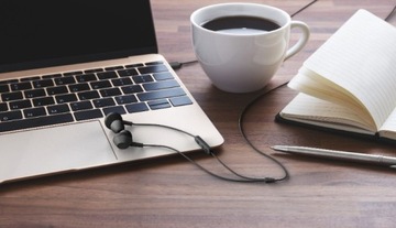 Наушники-вкладыши PHILIPS с микрофоном — USB-C