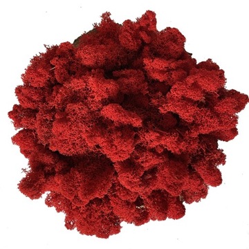 Финский мох 500г NET Красный