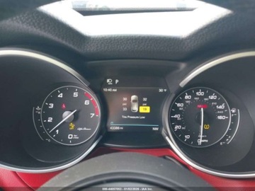 Alfa Romeo Stelvio SUV Facelifting 2.0 Turbo 280KM 2021 Alfa Romeo Stelvio 2021 280HP 2.0 Benzyna 280KM, zdjęcie 10