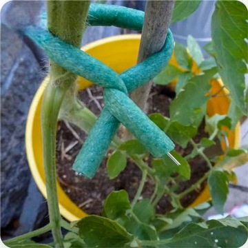 Садовая проволока с губчатым покрытием 10 м