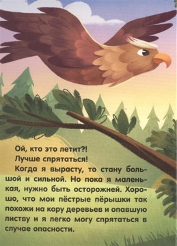 Совушка