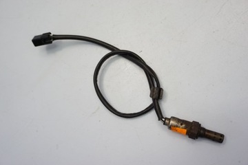 TRIUMPH TIGER SPORT 1050 16- ЛЯМБДА-ЗОНД