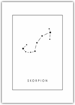 Plakat Znaki Zodiaku Skorpion 60x80 trygon wody Gwiazdy grafika b&w