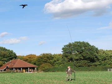 Репеллент от птиц Large Kite Hawk CH2