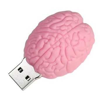 PENDRIVE USB SZYBKI FLASH DRIVE ULTRA PAMIĘĆ ZAWIESZKA PREZENT PEN MÓZG 8GB