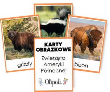 KARTY OBRAZKOWE zwierzęta Ameryki Płn. Montessori REALNE ZDJĘCIA 7x10cm