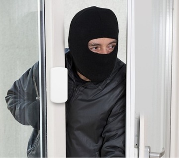 BEZPRZEWODOWA CZUJKA WIBRACYJNA